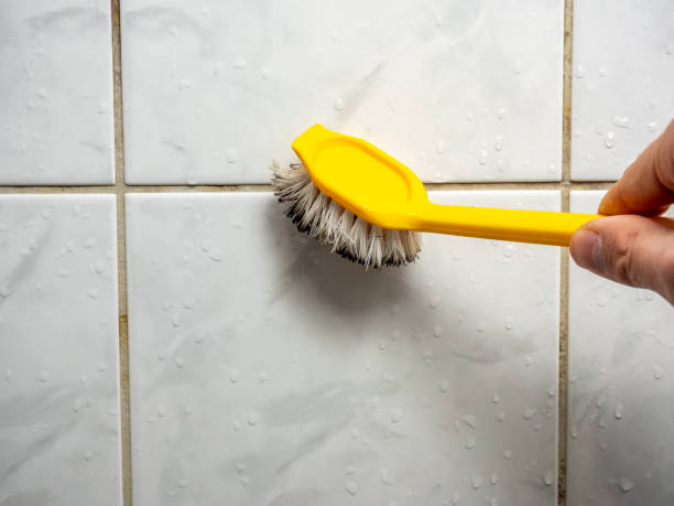 Best Same-Day Mold Removal  in Aurora, MO