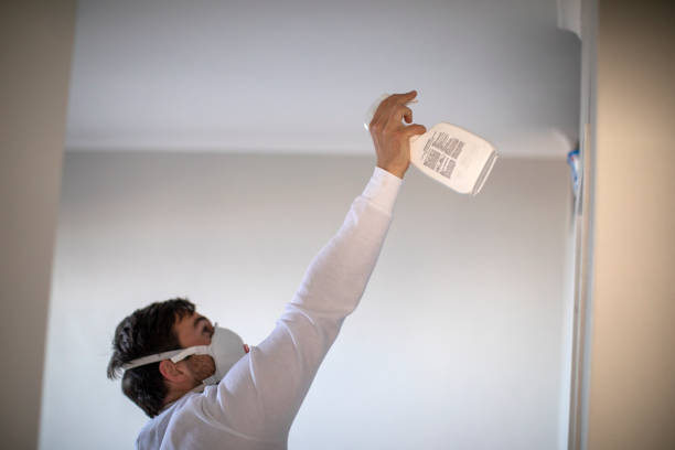 Best Mold Inspection  in Aurora, MO