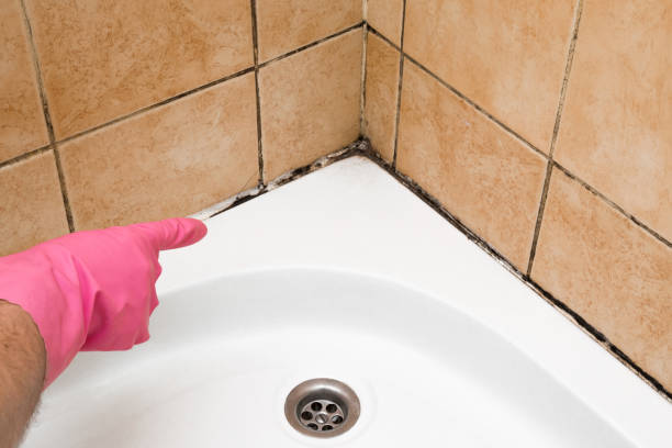 Best Mold Testing  in Aurora, MO